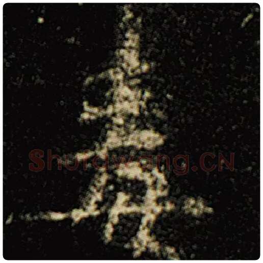 欧阳询毛笔楷书毒字的写法,摘自欧阳询书法作品化度寺碑