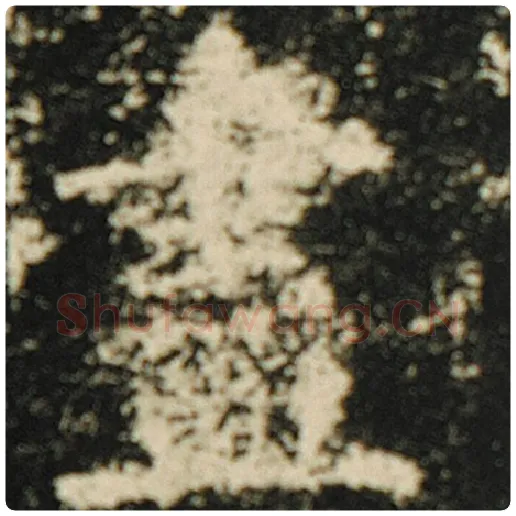 欧阳询毛笔楷书尽字的写法,摘自欧阳询书法作品化度寺碑