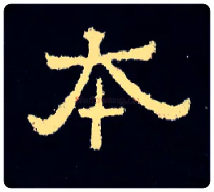 本毛笔楷书写法,摘自晋爨宝子碑
