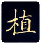 植毛笔楷书写法,摘自唐钟绍京灵飞经