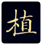 植毛笔楷书写法,摘自唐钟绍京灵飞经