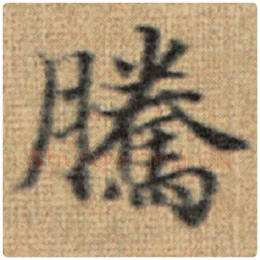 赵孟頫毛笔楷书腾字的写法,摘自赵孟頫书法作品太上老君说常清静经