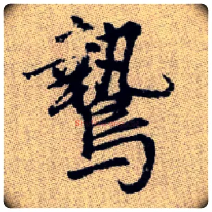 鷙毛笔楷书写法,摘自元赵孟頫续千字文