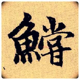 鱨毛笔楷书写法,摘自元赵孟頫续千字文