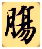 肠毛笔楷书写法,摘自隋智永真草千字文