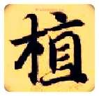 植毛笔楷书写法,摘自隋智永真草千字文