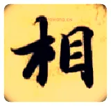 相毛笔楷书写法,摘自隋智永真草千字文