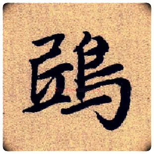 鴟毛笔楷书写法,摘自元赵孟頫续千字文