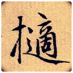 擿毛笔楷书写法,摘自元赵孟頫续千字文古同“掷”“摘”