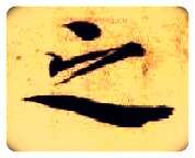 之毛笔楷书写法,摘自隋智永真草千字文