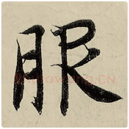 智永毛笔楷书服字的写法,摘自智永书法作品千字文