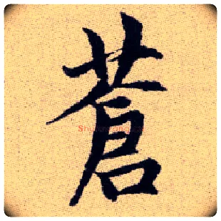 蒼毛笔楷书写法,摘自元赵孟頫续千字文