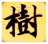 树毛笔楷书写法,摘自隋智永真草千字文
