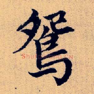 鴛