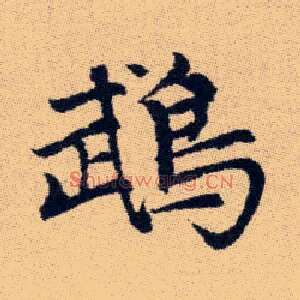 鵡