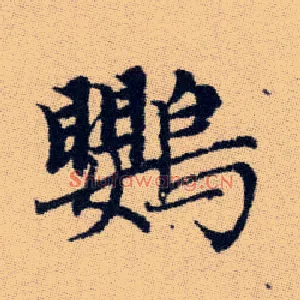鸚
