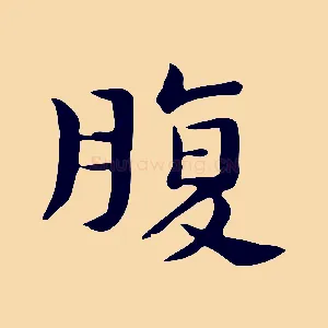 腹