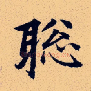 聪