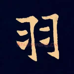 羽