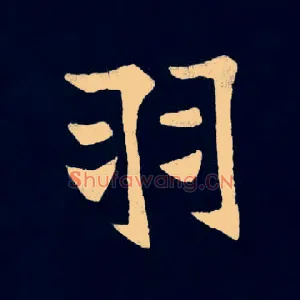羽
