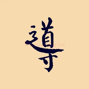 導