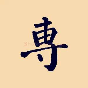 專