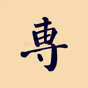 專