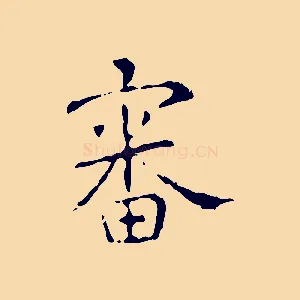 審