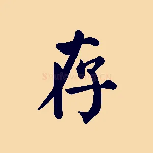存