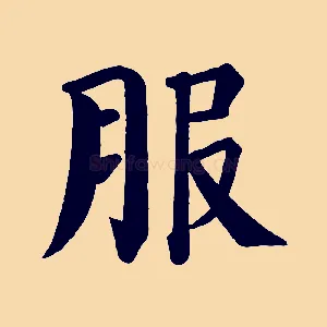 服
