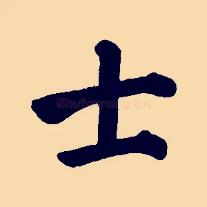 士