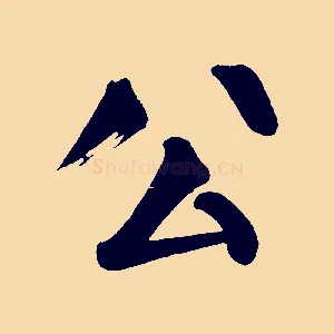 公