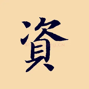 資