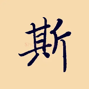 斯