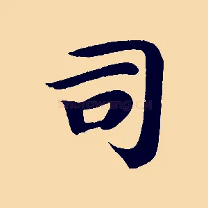 司