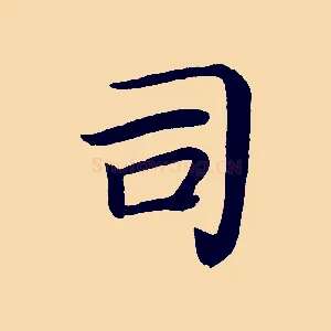 司
