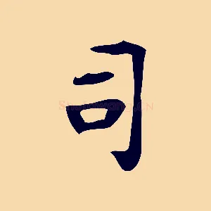 司