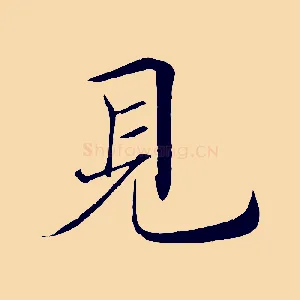 見