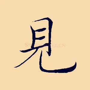 見