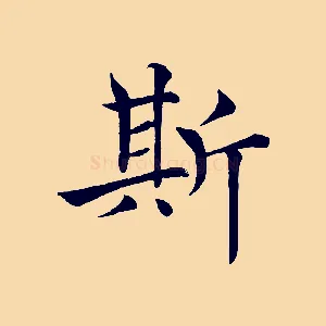 斯