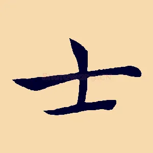 士