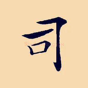 司