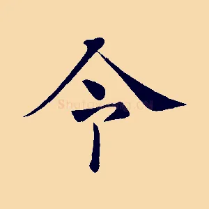 令
