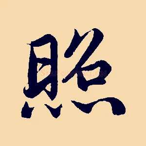 照