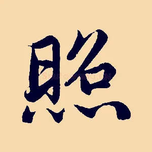 照