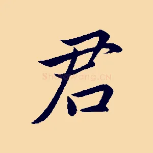君