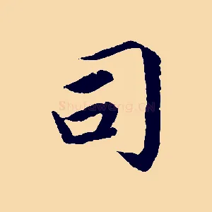 司