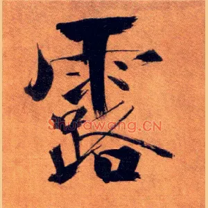 露