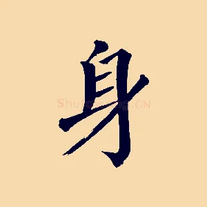 身