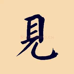 見